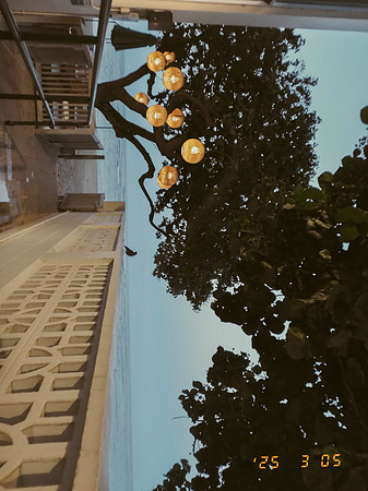 DSCF0795