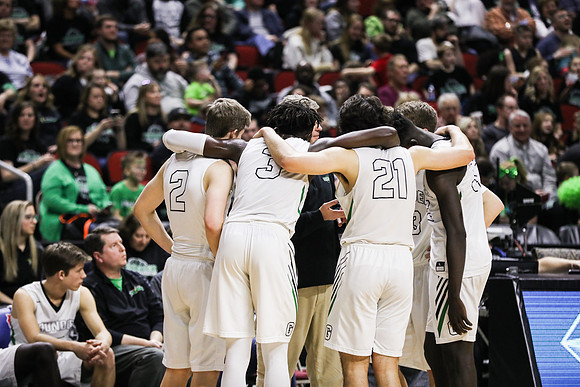 424A1196